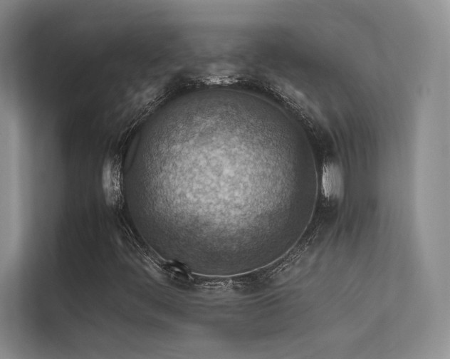 X0000113311444200909141302