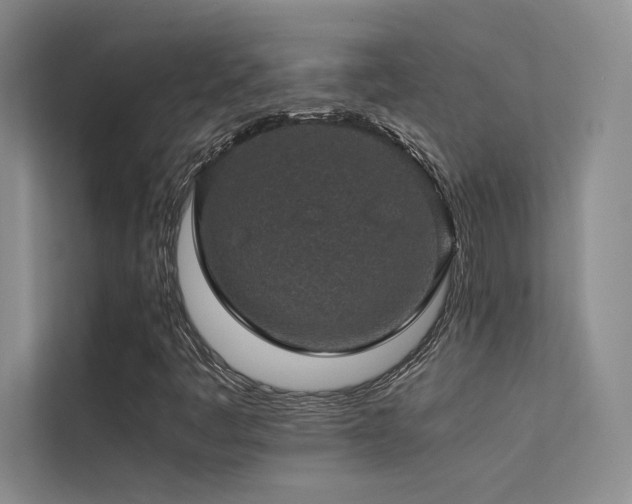 X0000113311445200909141302