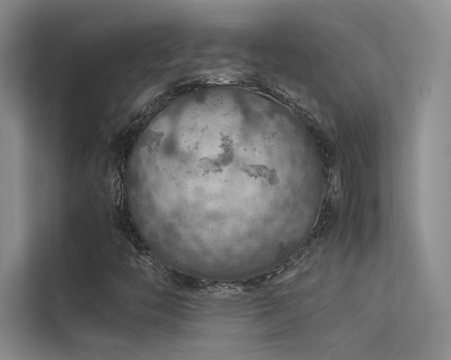 X0000113311446200909141302