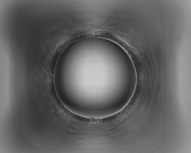 X0000113311447200909141302