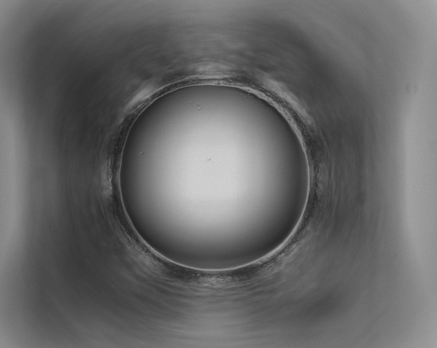 X0000113311451200909141302