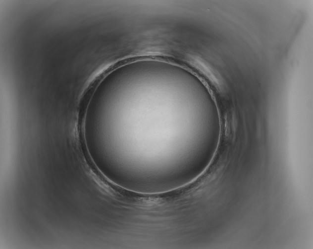 X0000113311452200909141302