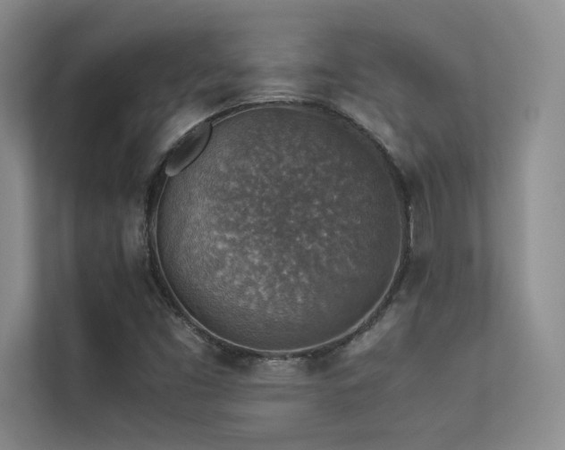 X0000113311453200909141302