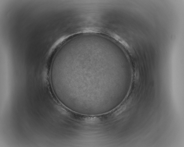 X0000113311454200909141302