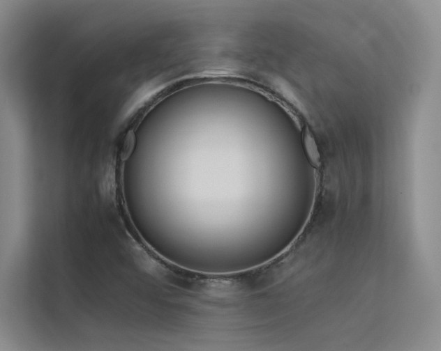 X0000113311456200909141302