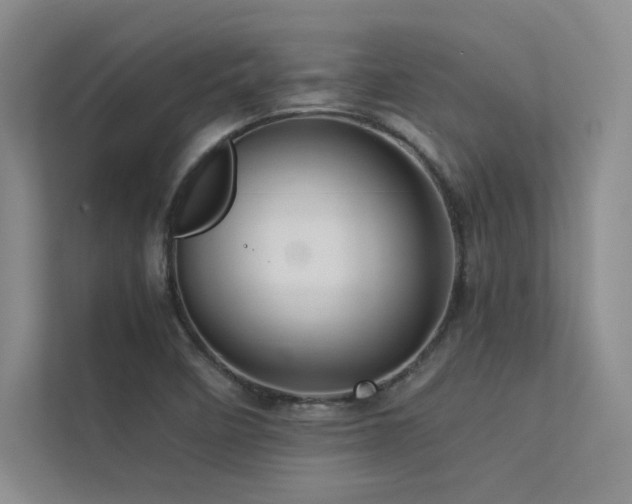 X0000113311458200909141302