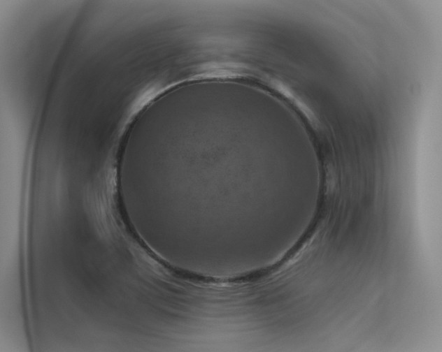 X0000113311459200909141302