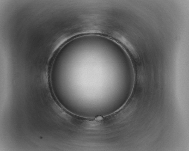 X0000113311460200909141302