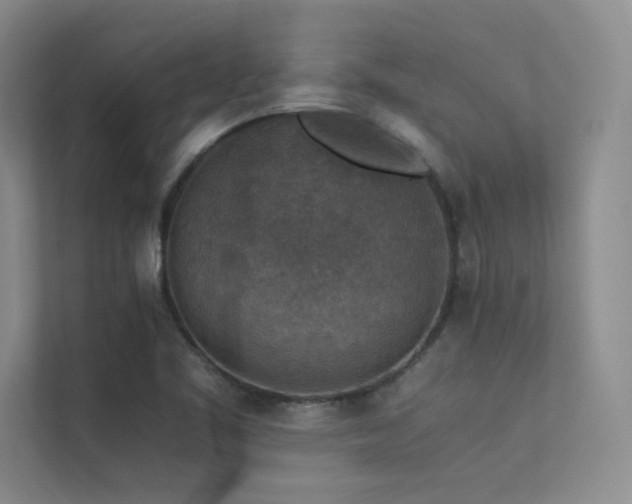 X0000113311461200909141302