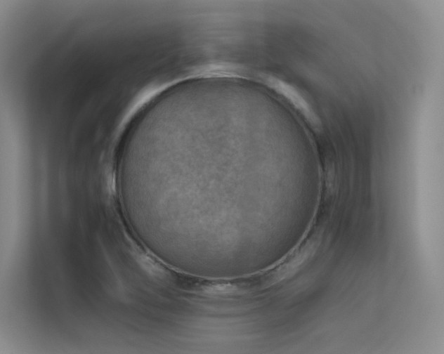 X0000113311462200909141302