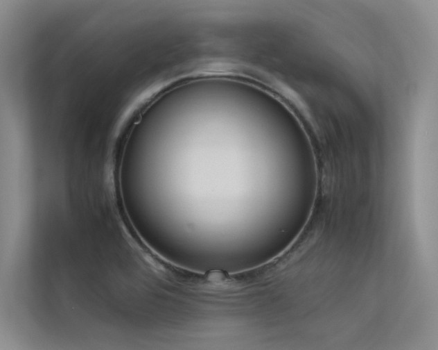 X0000113311464200909141302