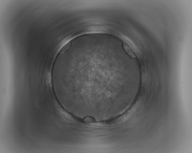 X0000113311465200909141302