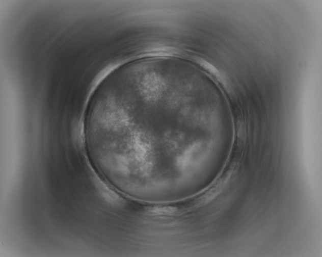 X0000113311466200909141302