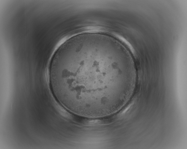 X0000113311467200909141302