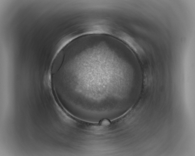 X0000113311468200909141302