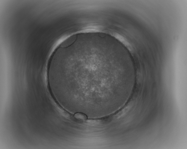 X0000113311469200909141302