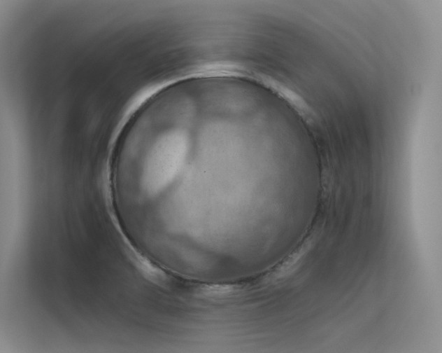 X0000113311470200909141302