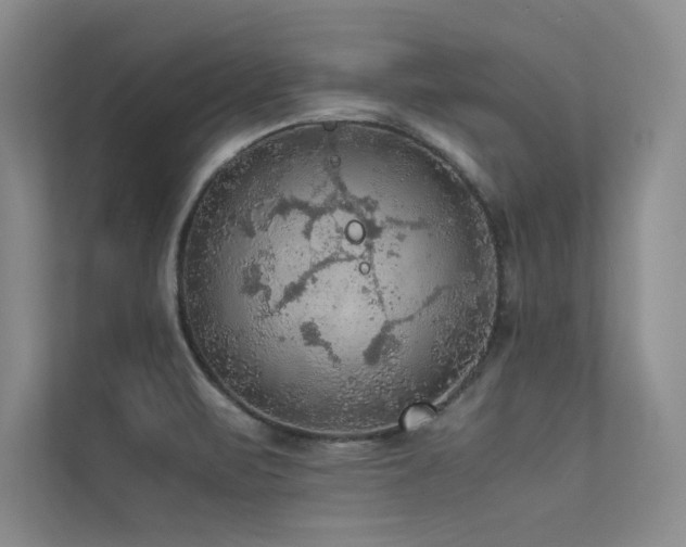 X0000113311471200909141302