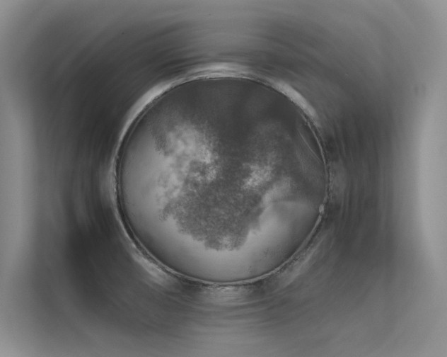 X0000113311474200909141302