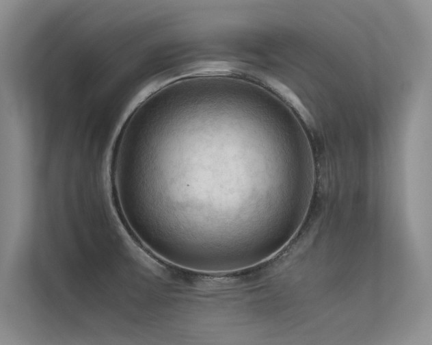 X0000113311475200909141302