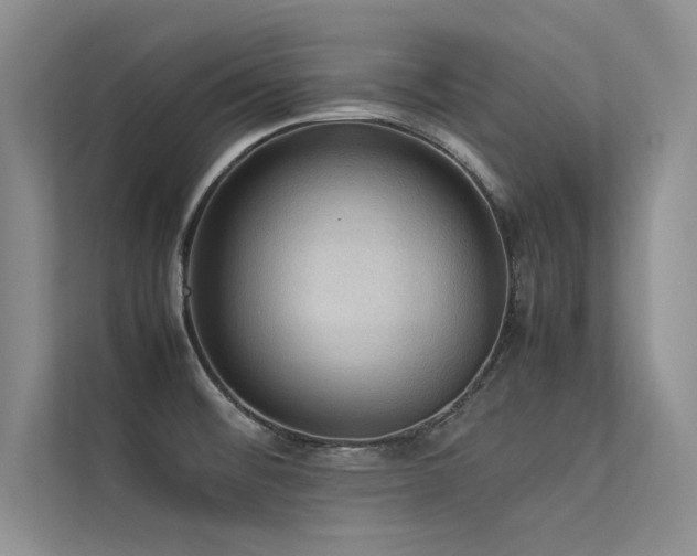 X0000113311476200909141302