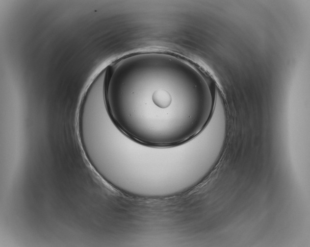 X0000113311480200909141302