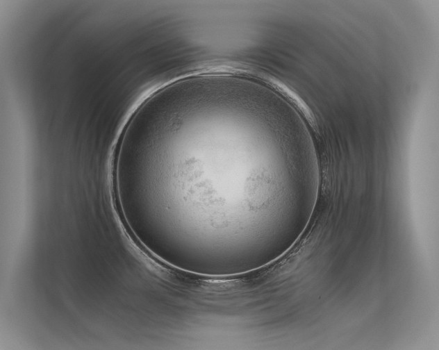 X0000113311483200909141301