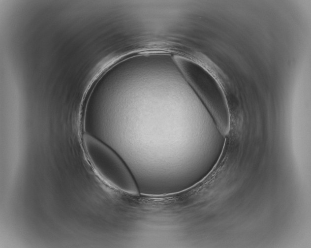 X0000113311485200909141301