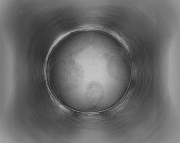 X0000113311486200909141301