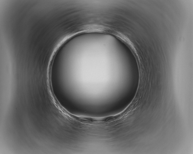 X0000113311488200909141301