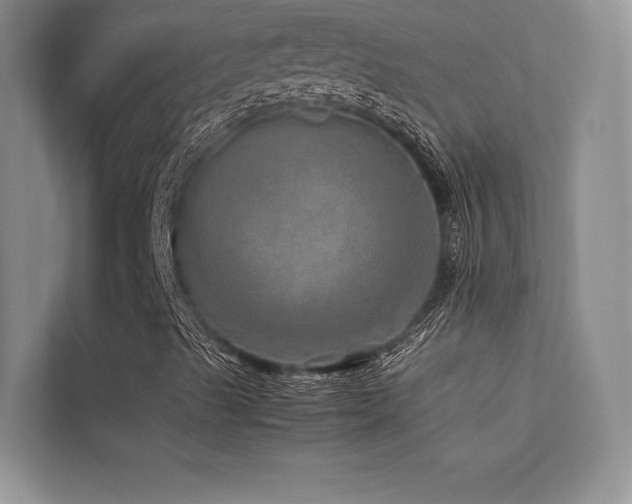 X0000113311489200909141301