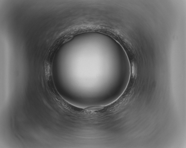 X0000113311492200909141301