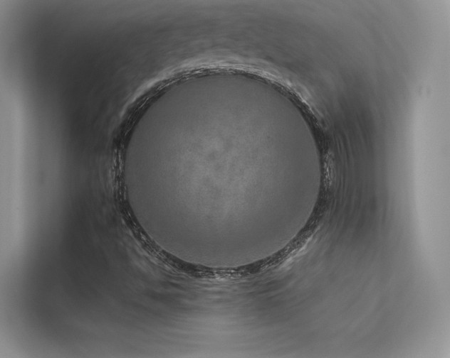 X0000113311494200909141301