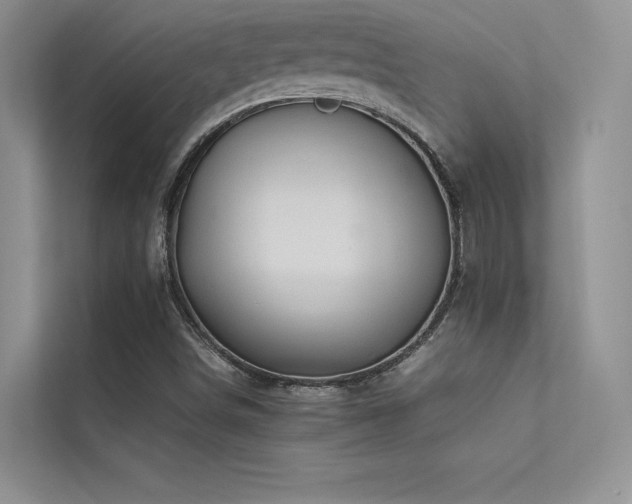 X0000113311498200909141301