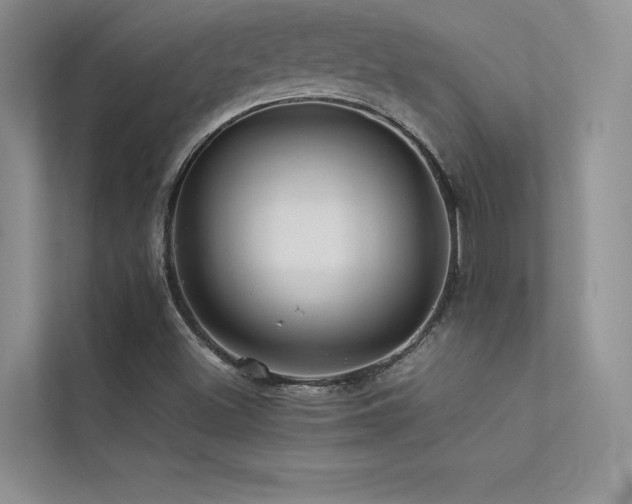 X0000113311500200909141301