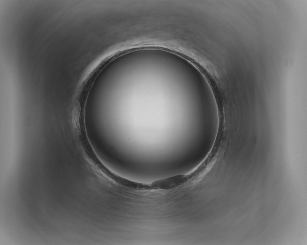 X0000113311502200909141301