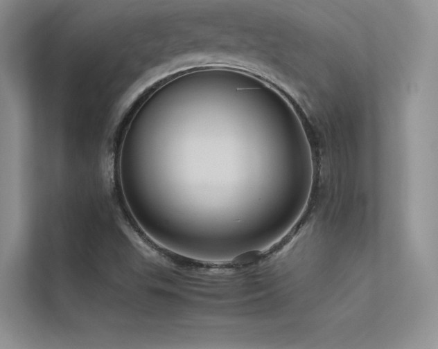 X0000113311503200909141301