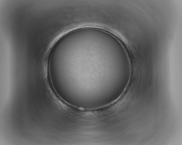 X0000113311504200909141301