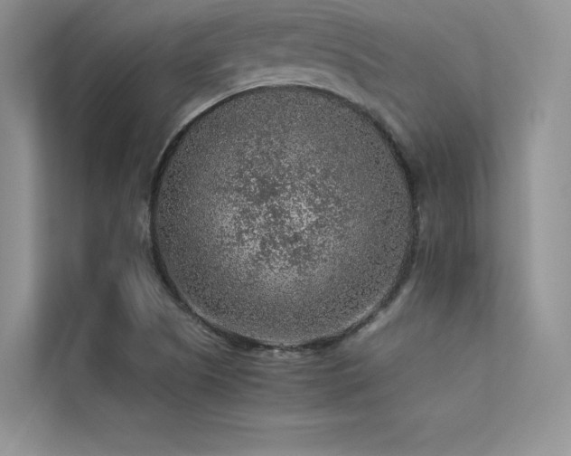 X0000113311505200909141301