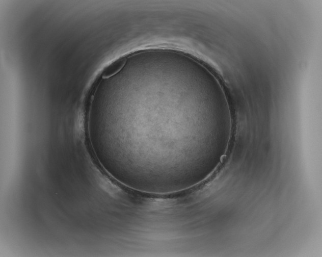 X0000113311506200909141301