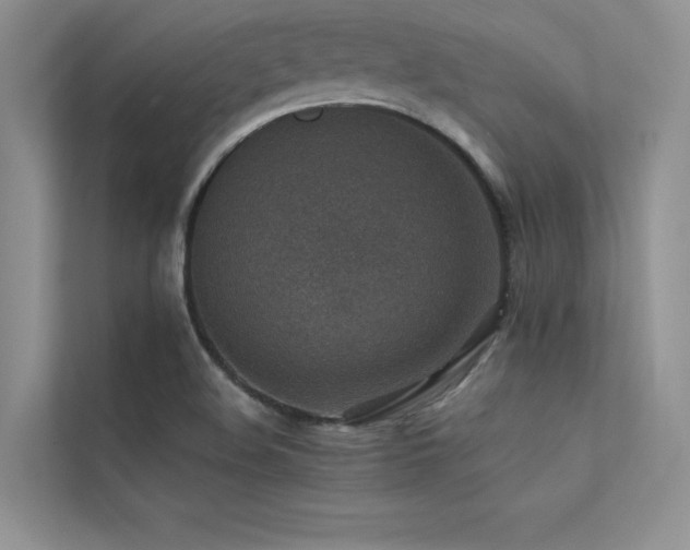 X0000113311508200909141301