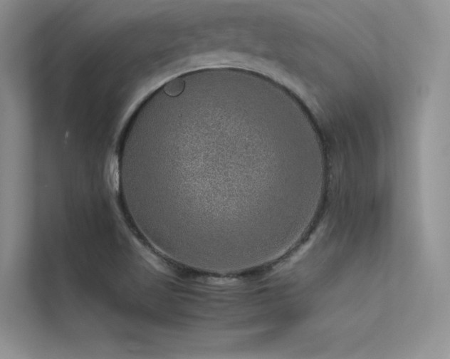 X0000113311509200909141301