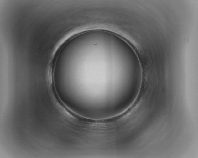 X0000113311510200909141301