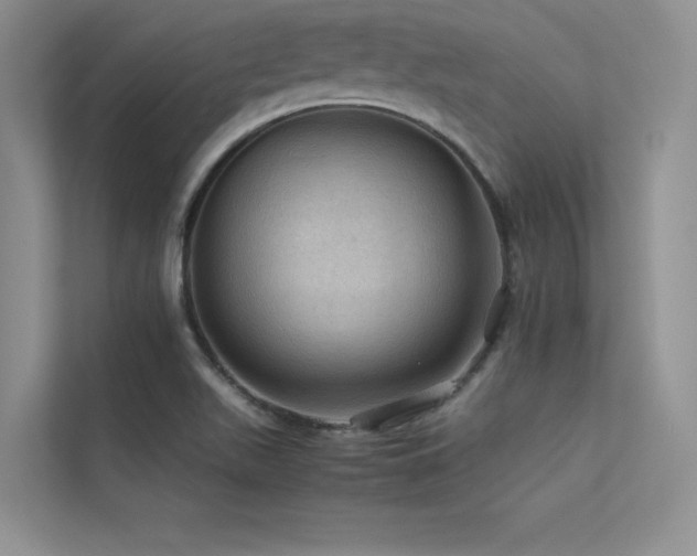 X0000113311511200909141301