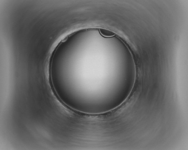 X0000113311512200909141301