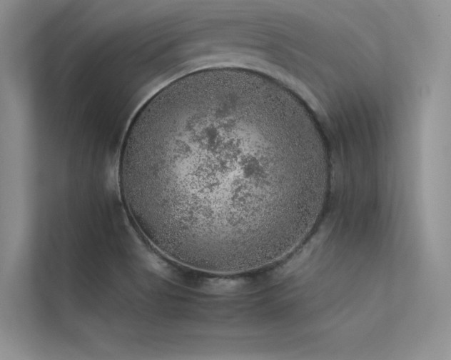 X0000113311513200909141301