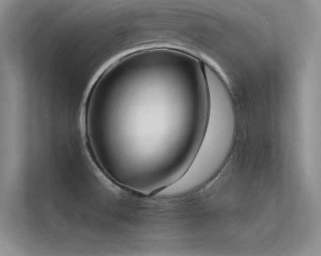 X0000113311516200909141301