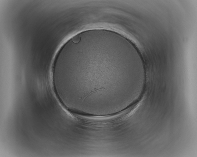 X0000113311517200909141301