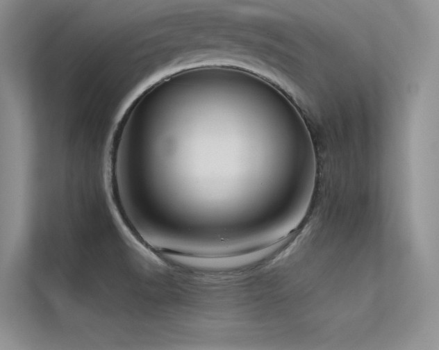 X0000113311518200909141301