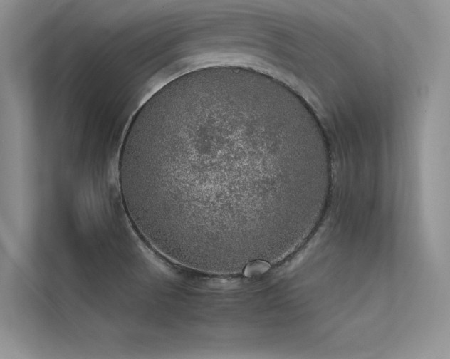 X0000113311521200909141301